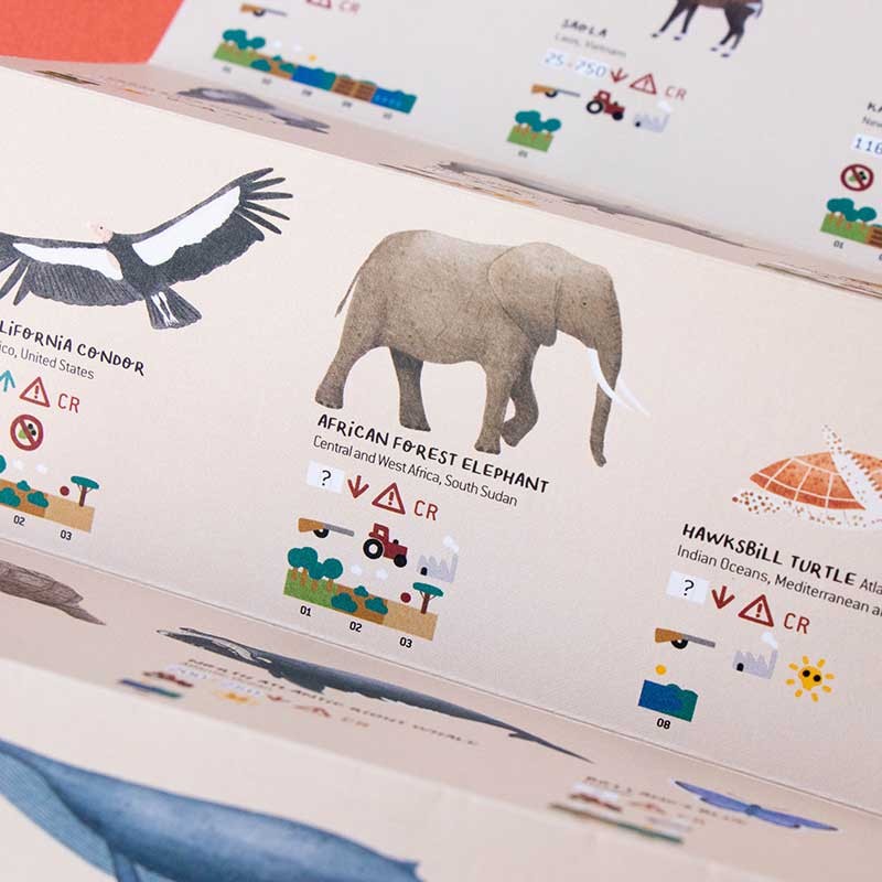 <p>conocer animales en peligro de extinción</p>